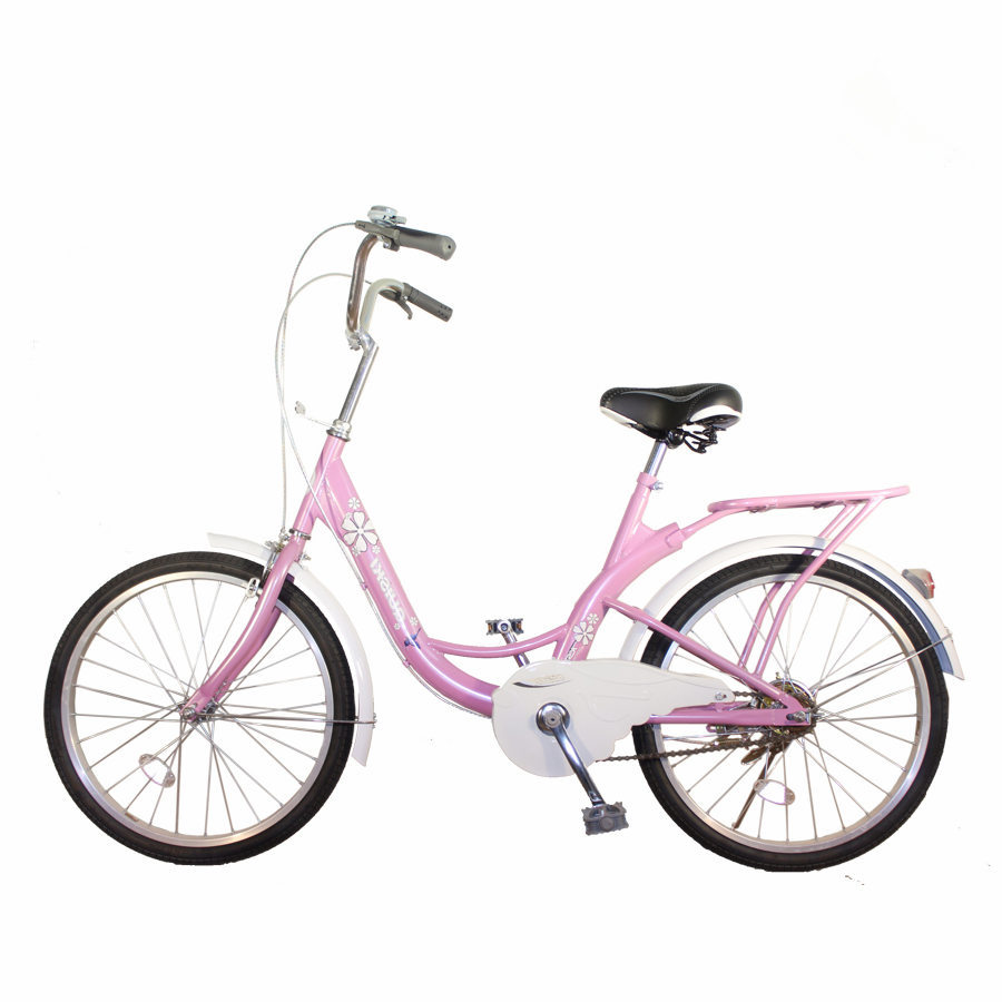 Fashionable Popular Ladies City Bike