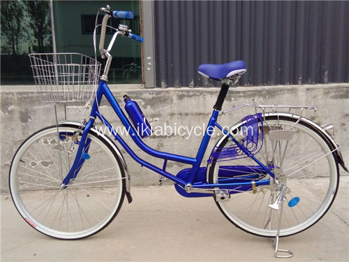 21 Speed City Travel Bicycle
