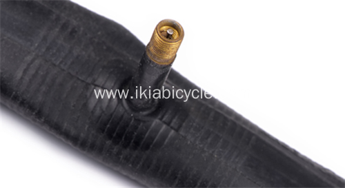 Rubber Covered Tire Valves