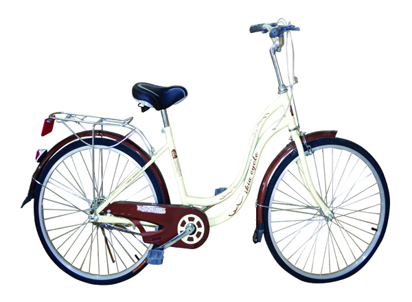 City bicycle with steel frame wire basket