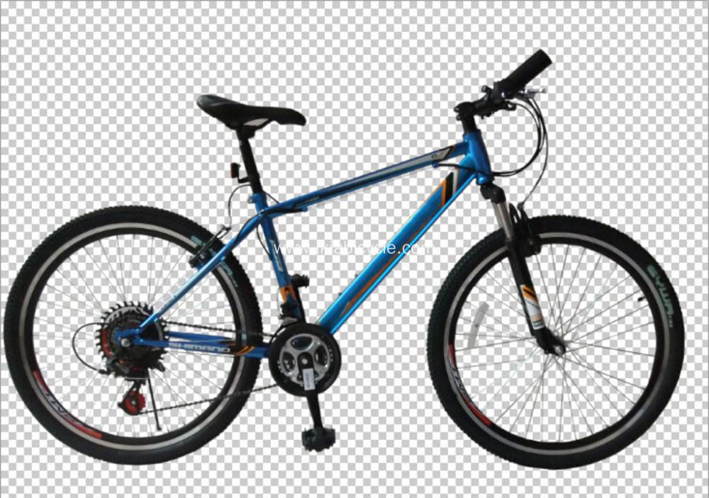 Color City Bicycle Lady Bicycle with Chain Cover