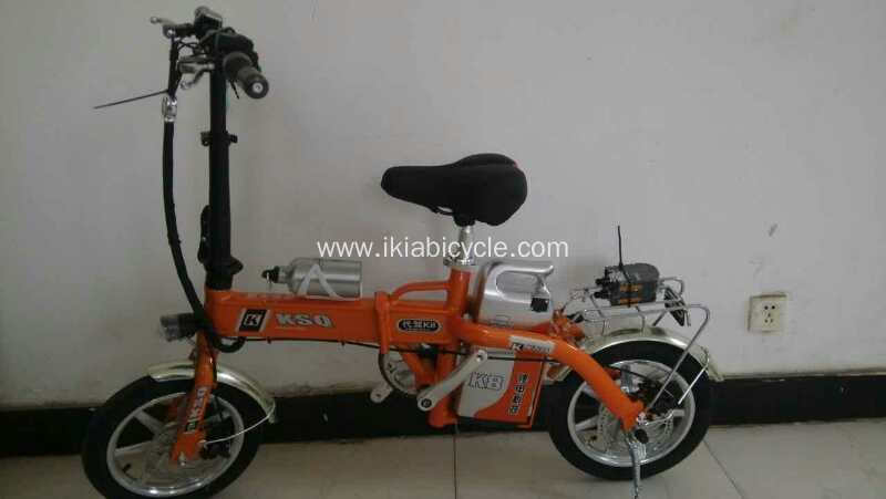 6 Speed 20 Inch Folding Bike