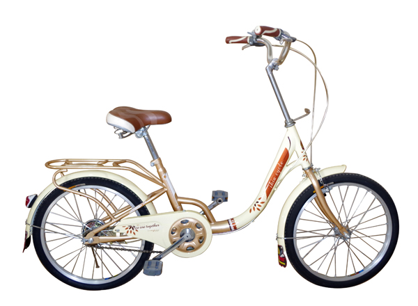 SKD Package Lady Bikes with Steel Frame