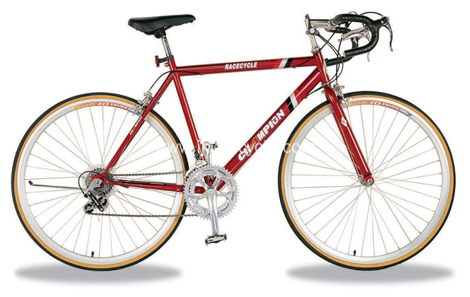 Safe and Green Folding Track bicycle