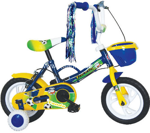 Kids Bike with Training Wheel