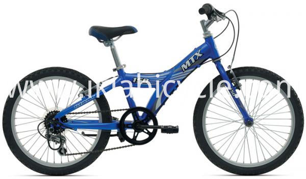 Children Mountain Bike Racing Bike