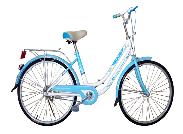 Women City Bicycle with Basket and Light