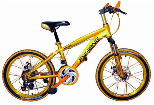 21 Speed City Travel Bicycle