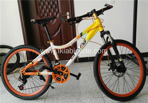 Single Speed City Lady Bikes