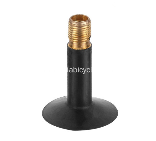 Bicycle Inner Tube Valve