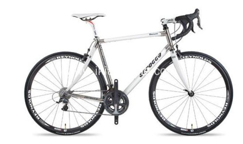 Alloy Frame Racing Bicycle in Popular