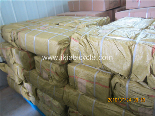 City Bike Luggage Carrier