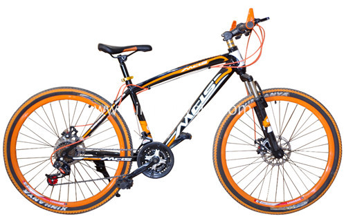 Adult Bicycle 26er*17Inch Mountain Bicycle
