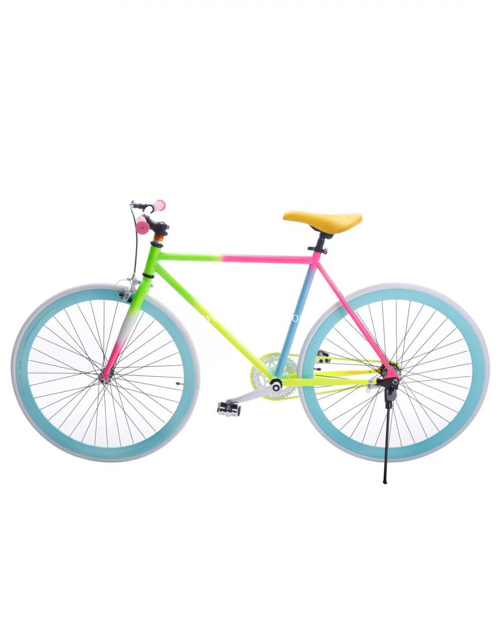 Men and Women Student Fixed Gear Bikes