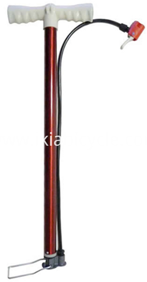 Big Bike Pump With Gauge