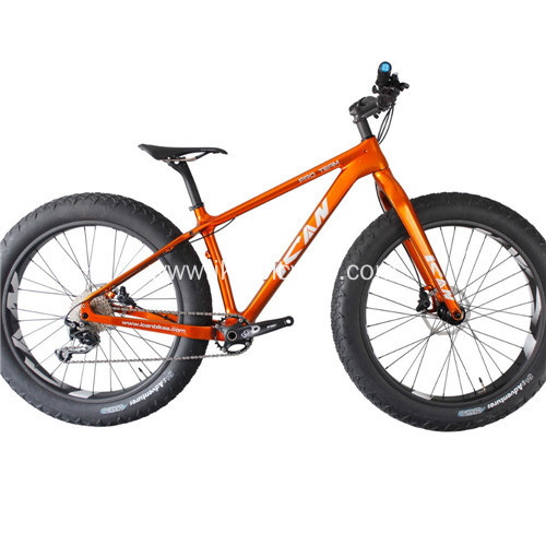 4.0 Big Tire Fat Bicycle