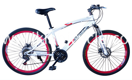 Disc-Brake Mountain Bike
