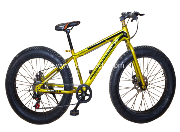 Fat Tyre Beach Cruiser