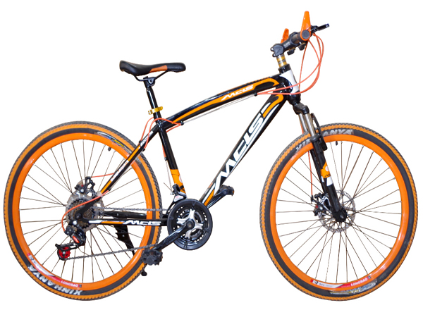 mountain bicycle mtb bike