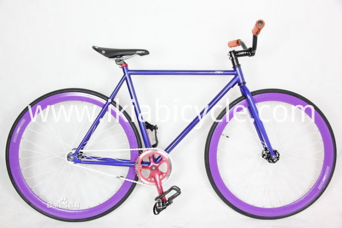 Fixed Gear bike 