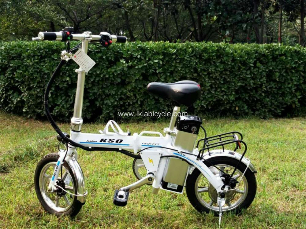 folding bike 