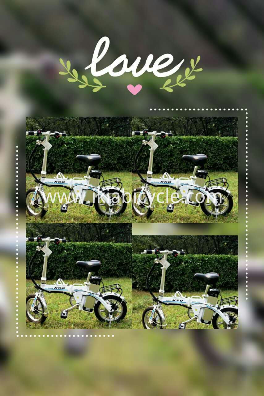 folding bike