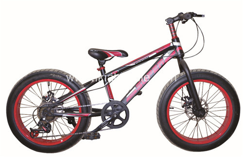 Alloy 7 Speed Fat Bikes