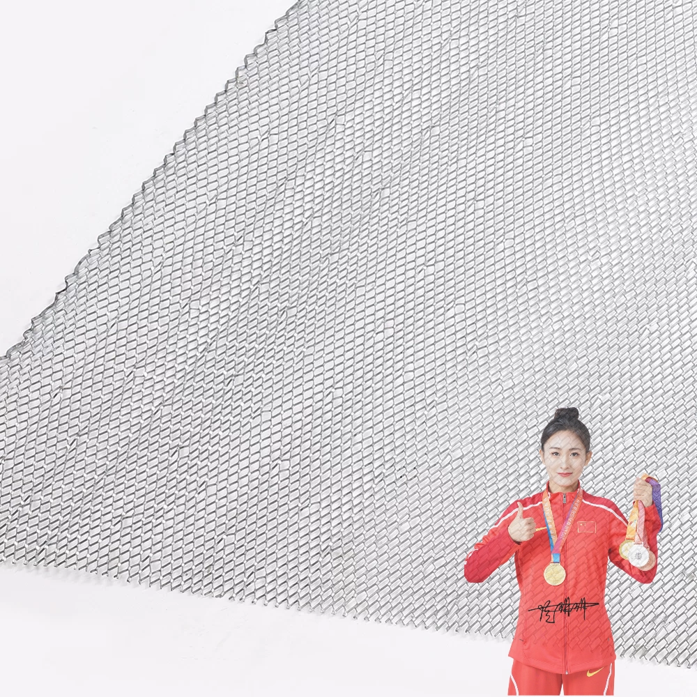 [Perforated Mesh Sheet from Meifei Building Materials (Hebei) Co., LTD]