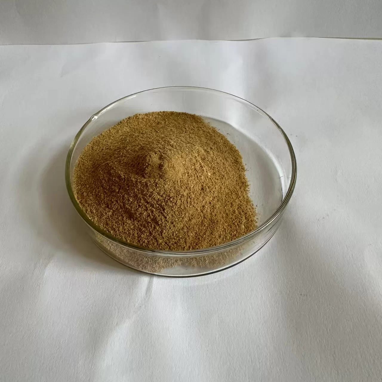 [Industrial Protease Type application image]