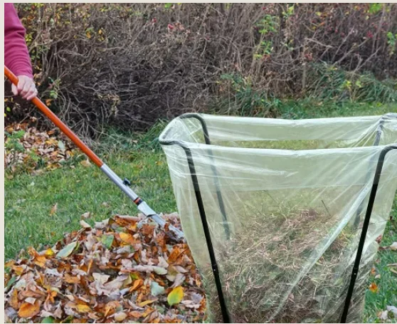 Mouse Trap Company Guide