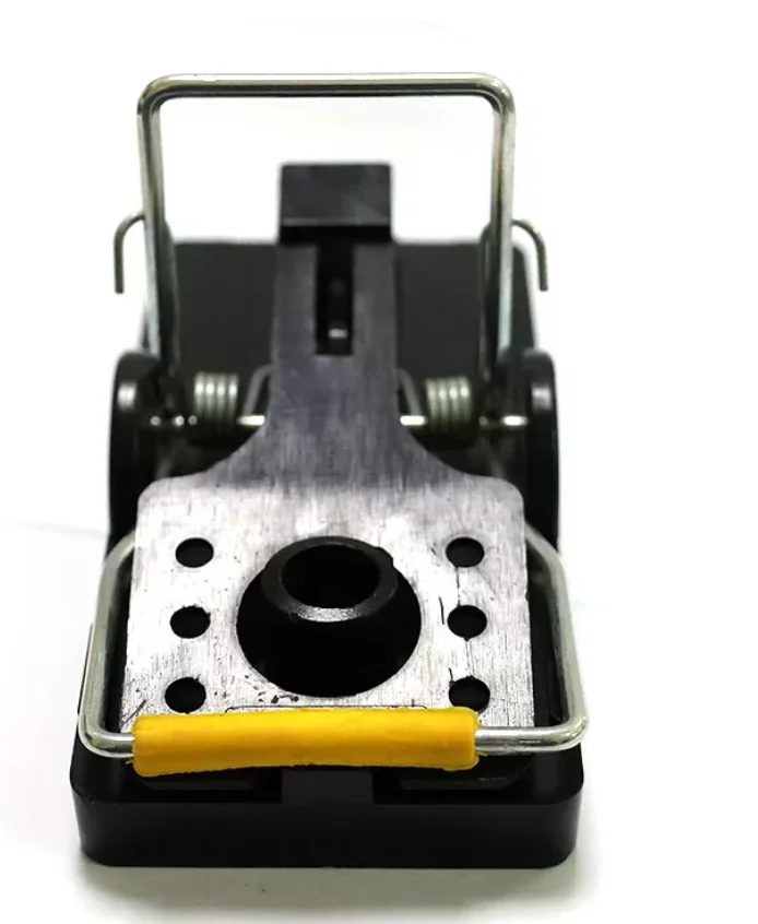 A snap trap awaits its prey