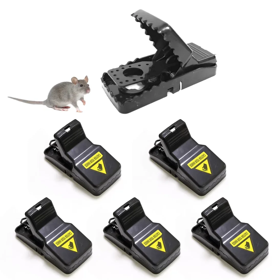 Bait Ideas for a Humane Mouse Trap