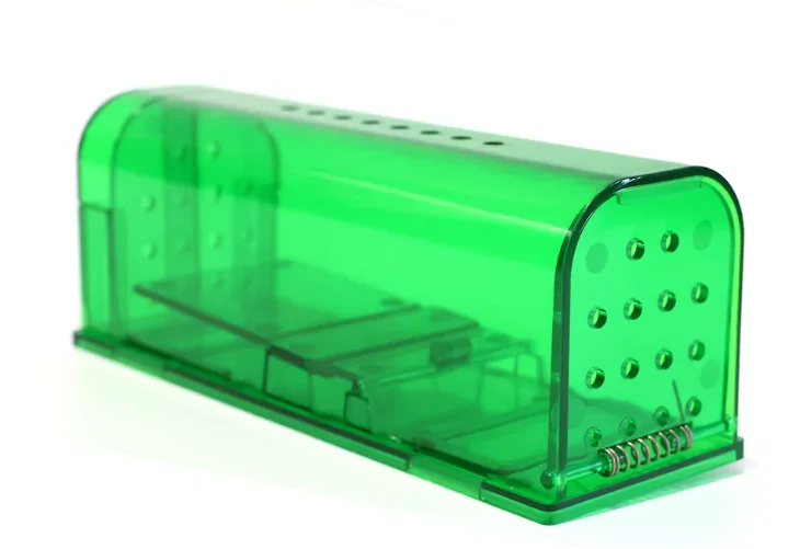 Safe and Humane Mouse Traps for Every Home