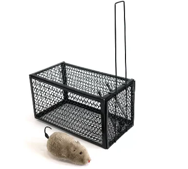 Types of Mouse Traps: Choosing the Right Rodent Trap for Effective Pest Control