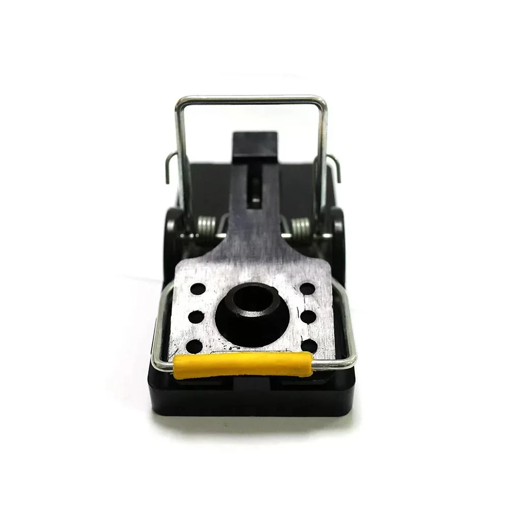 Types of Rodent Traps: Choosing the Right Solution for Effective Rodent Control