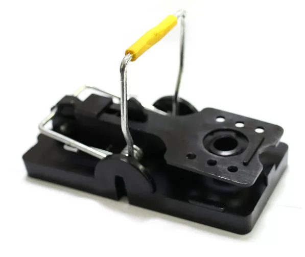 Setting a Snap Trap Correctly