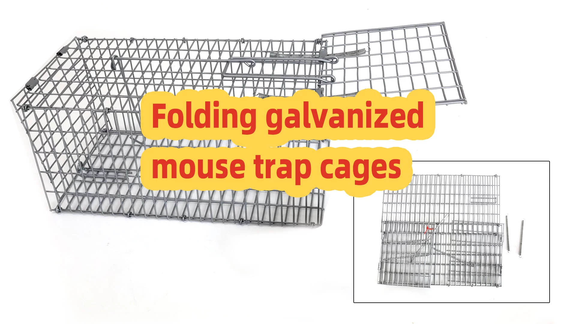 Foldable Galvanized Mouse Trap Setup Guide: Durable & Reusable Cage Tutorial