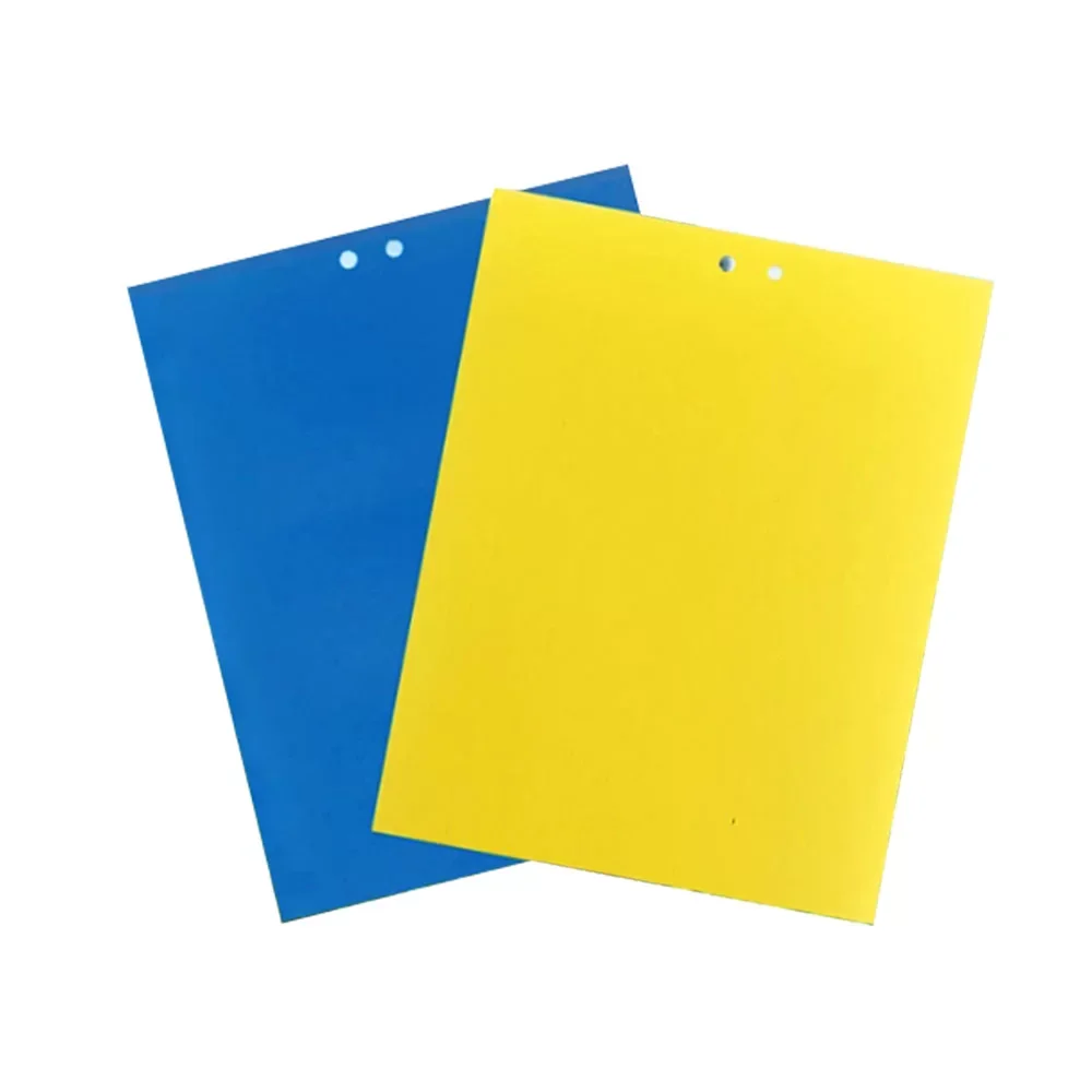 ​How to Choose the Best Sticky Trap for Flies for Home and Commercial Use