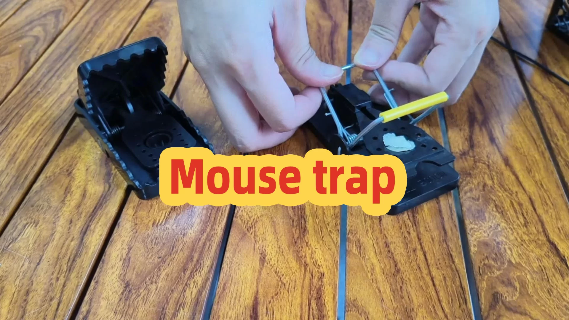 How to Use Mouse Traps Like a Pro: Catch Mice Fast Without Wasting Bait