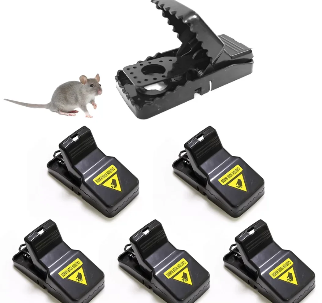 The Black Box Rat Trap Is Highly Effective