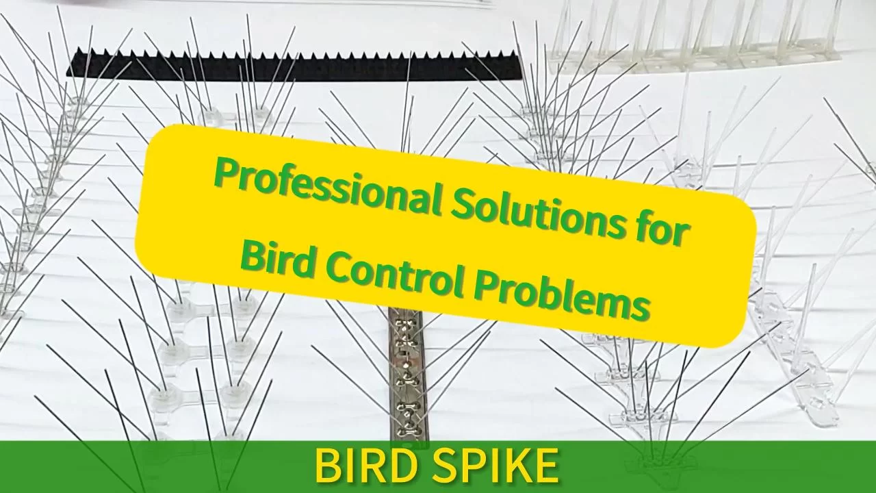 The Manufacturer Wholesales All Kinds Of Bird Spikes-Choose The Right Spikes To Keep Birds Away For Good