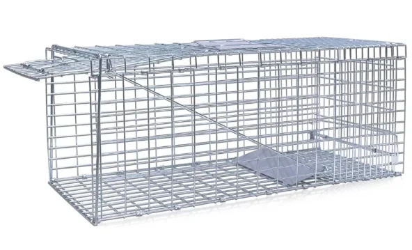 Humane Animal Trap Cage Guide
