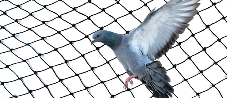 bird netting for balcony