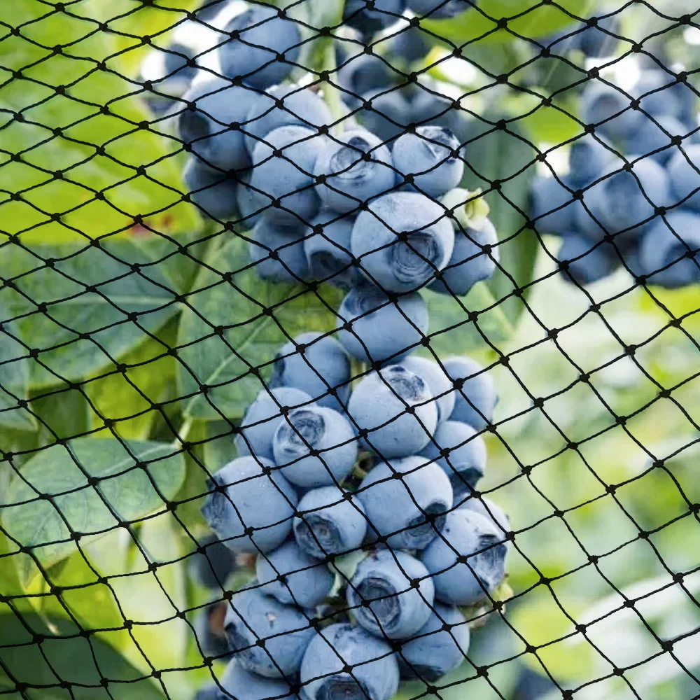 pest control wholesale