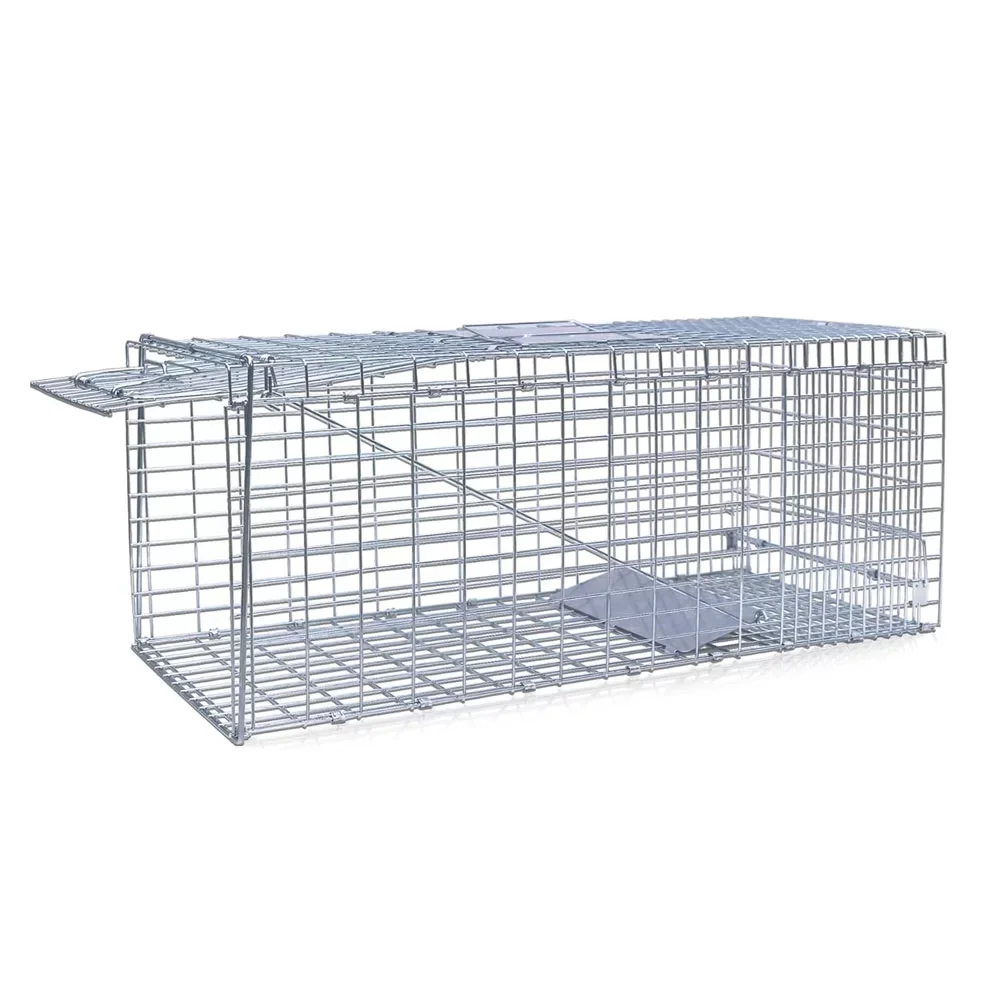 Live Cat Traps: The Smart Choice For Humane And Effective Animal Capture