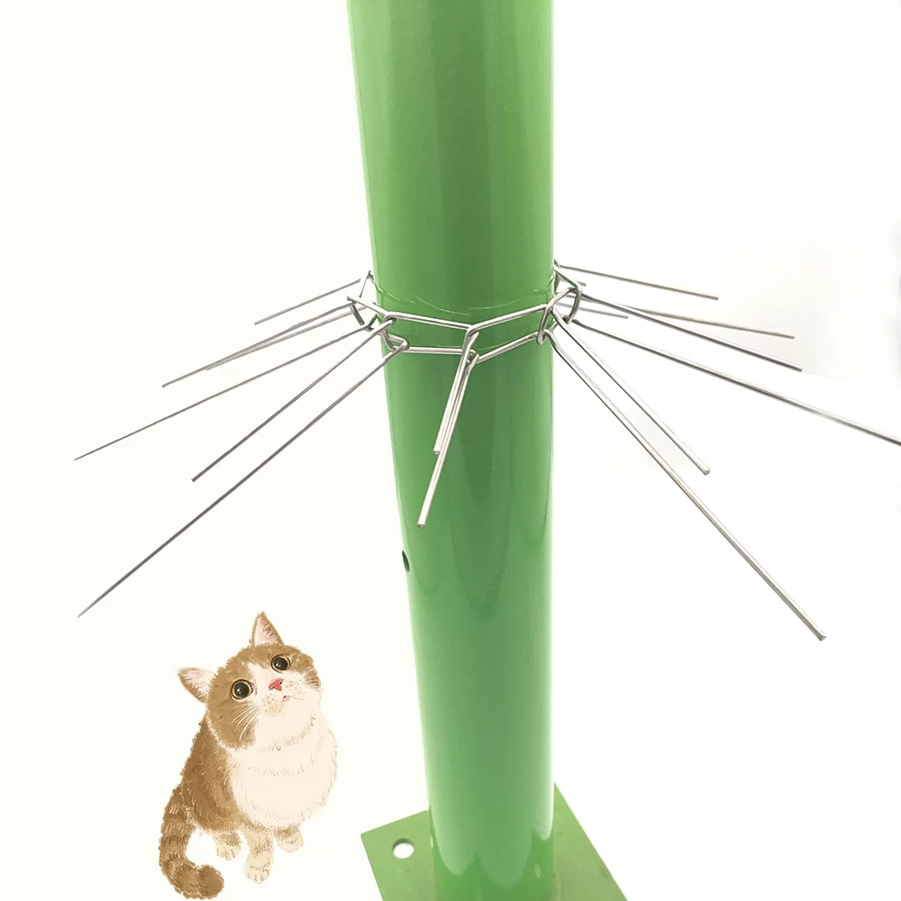 Anti Bird Solutions for Modern Homes and Urban Living