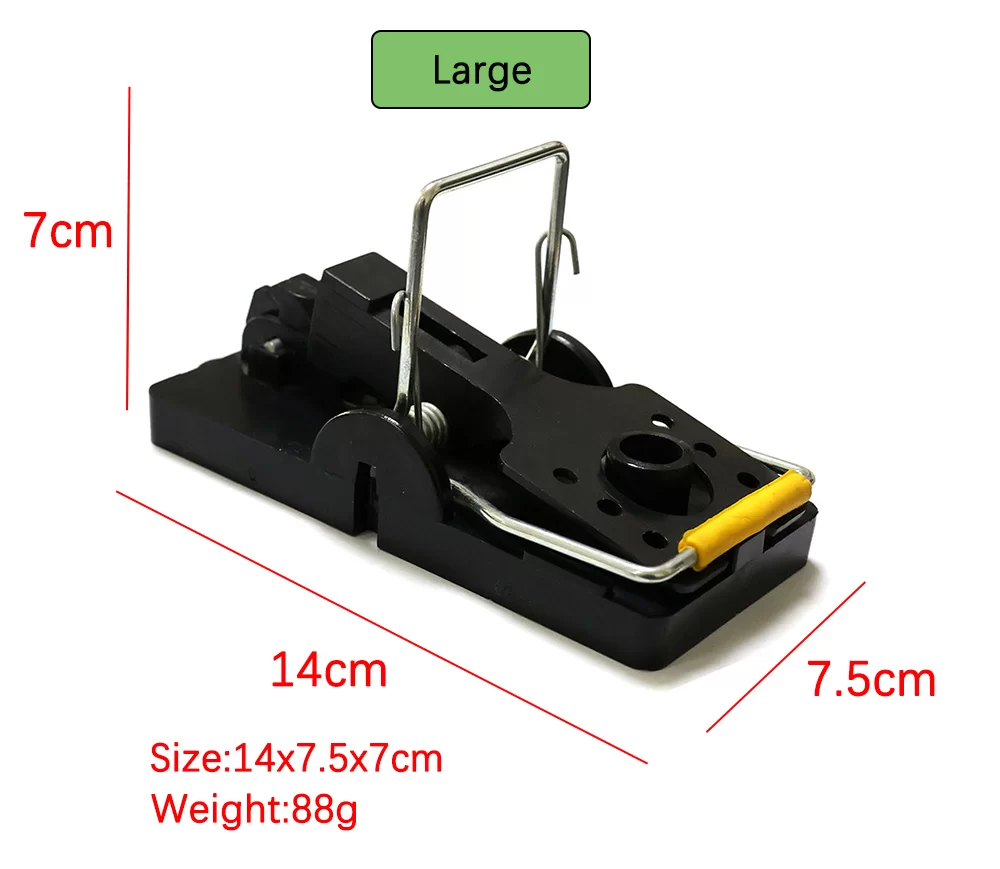 Types of Rodent Traps: Choosing the Best Solution for Pest Control