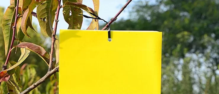 agricultural bird netting