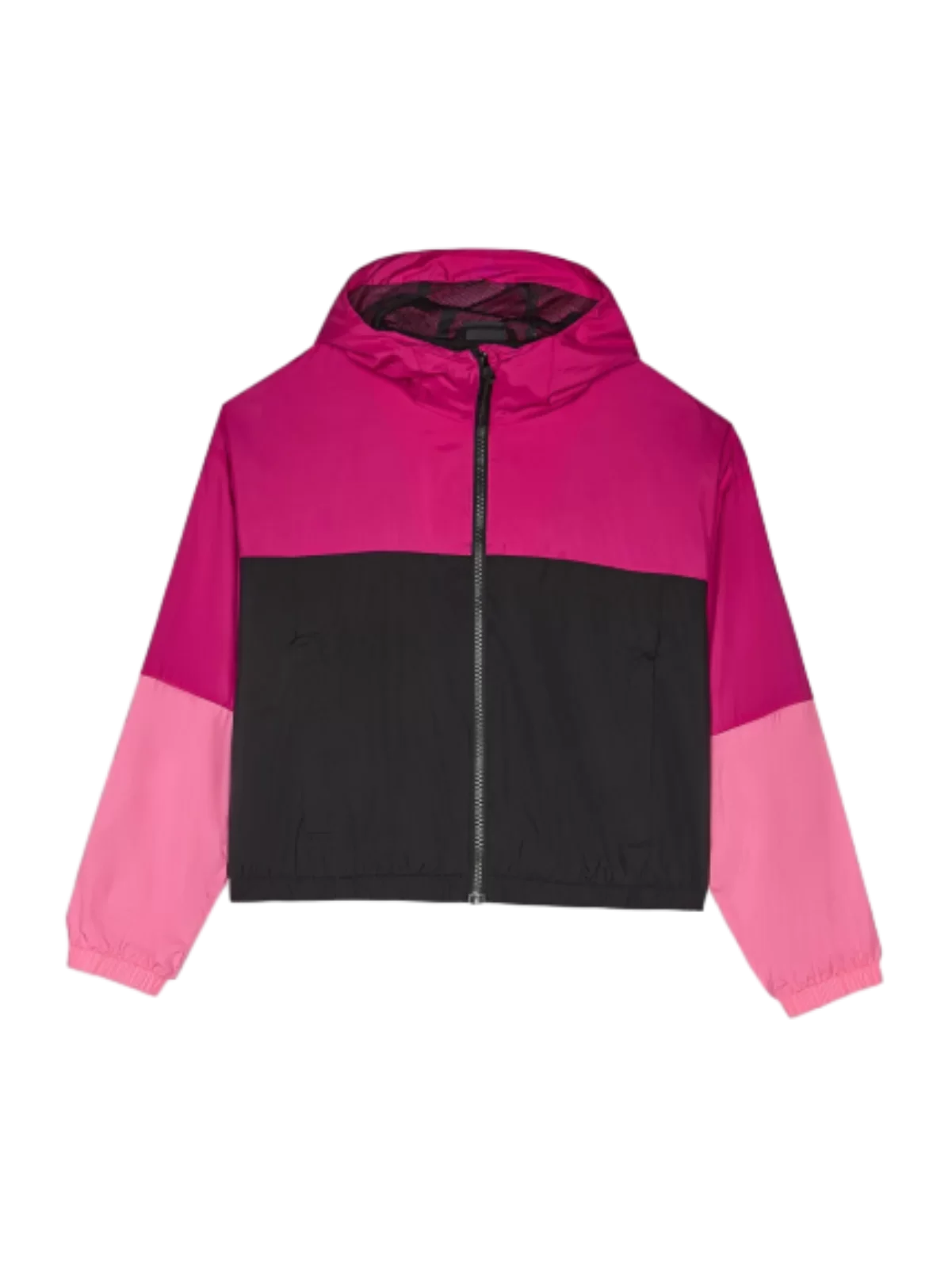 TRANSCENDUS transitional iaccam cum DWR pro Puellae