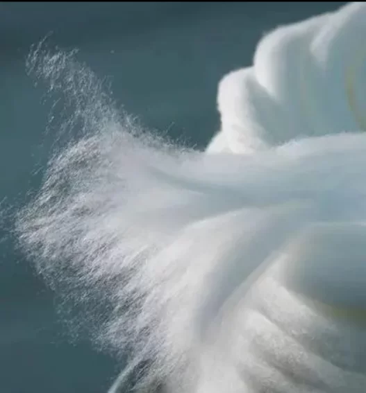 Mens (X) membrana ski braccas